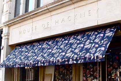 House of Hackney - Signature Regency Awning 